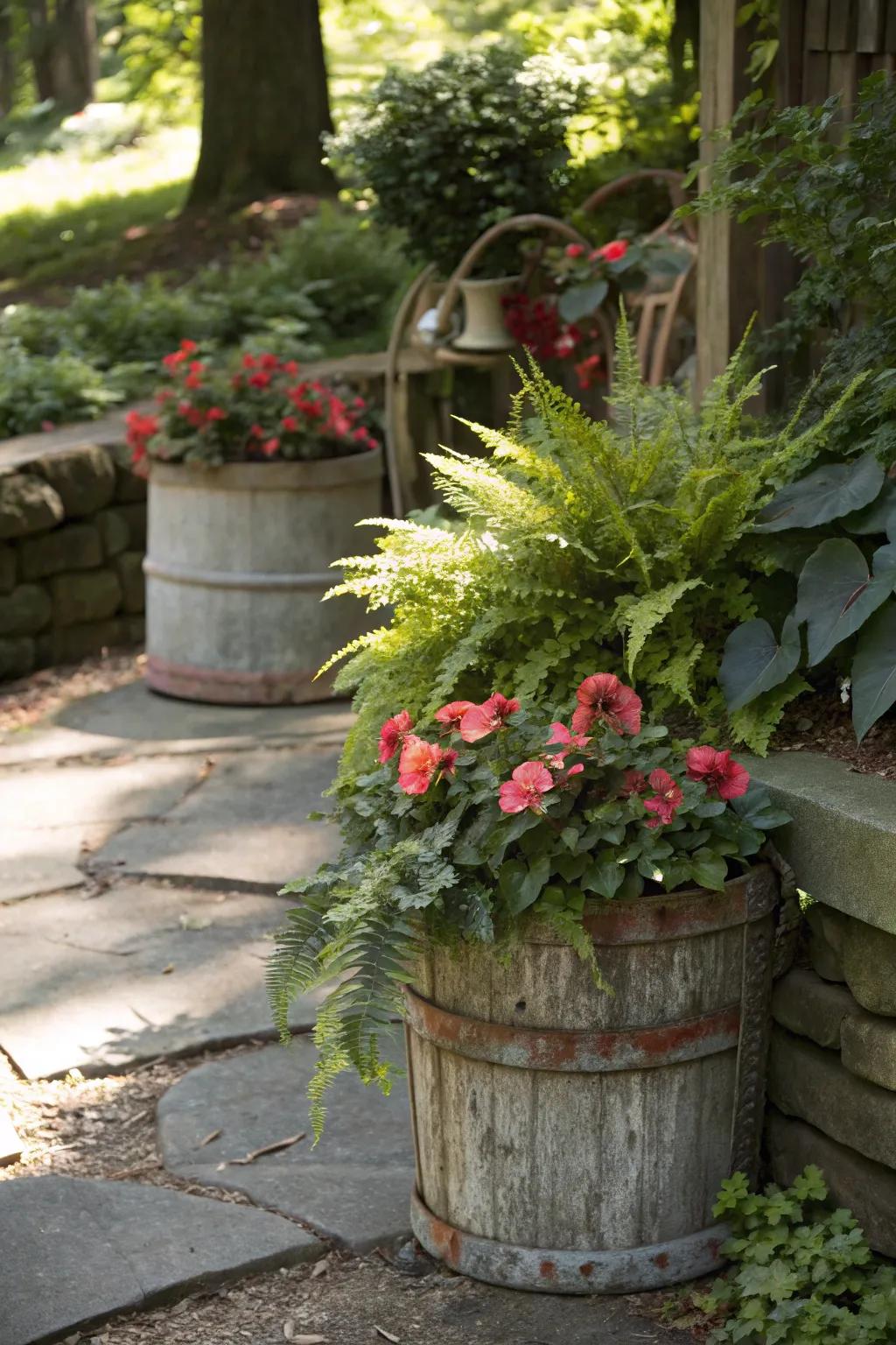 A shaded garden featuring classic containers repurposed as vessels filled with ferns and begonias.