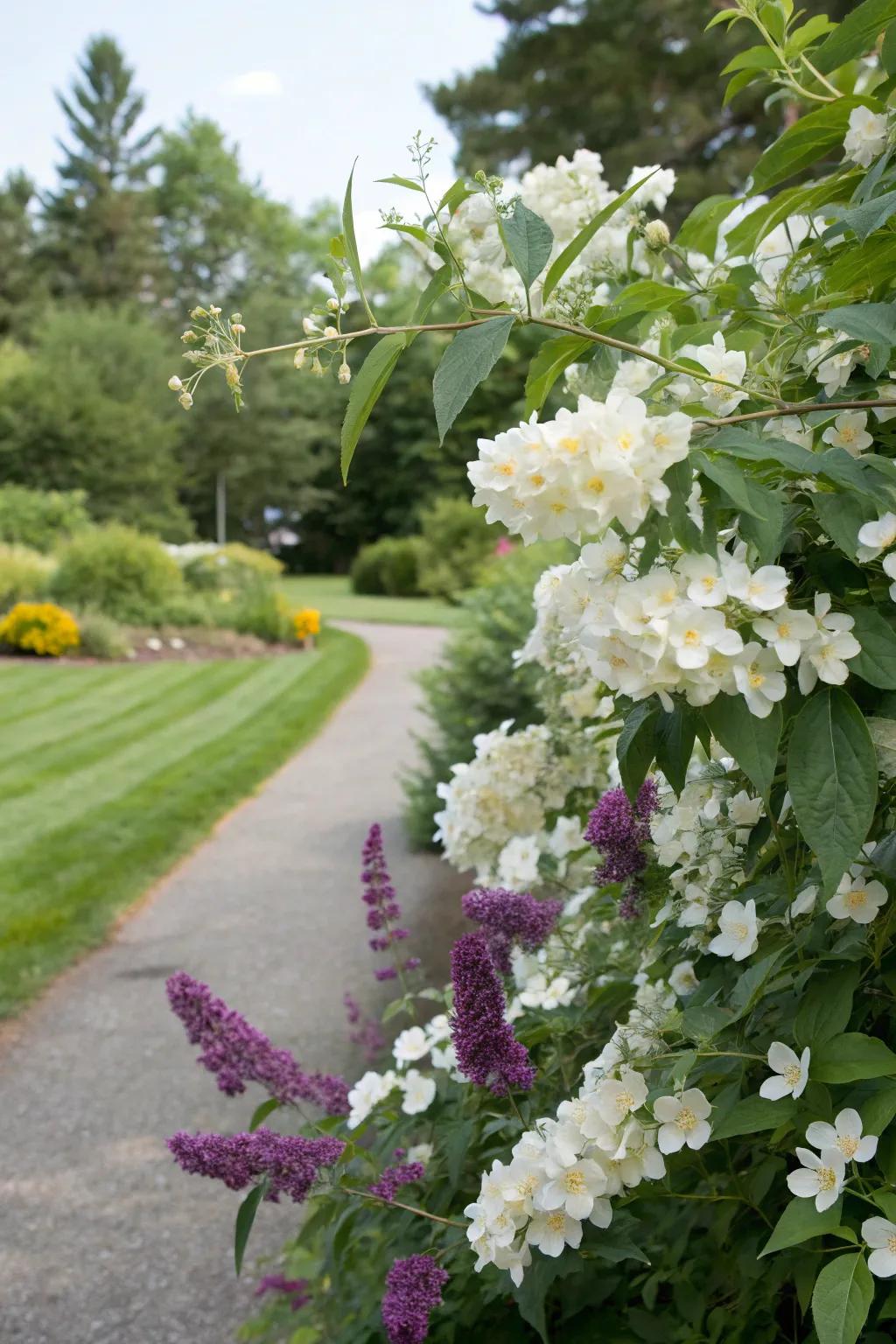 Fragrant snowball and flutterby plant establish a delightful sensory garden.