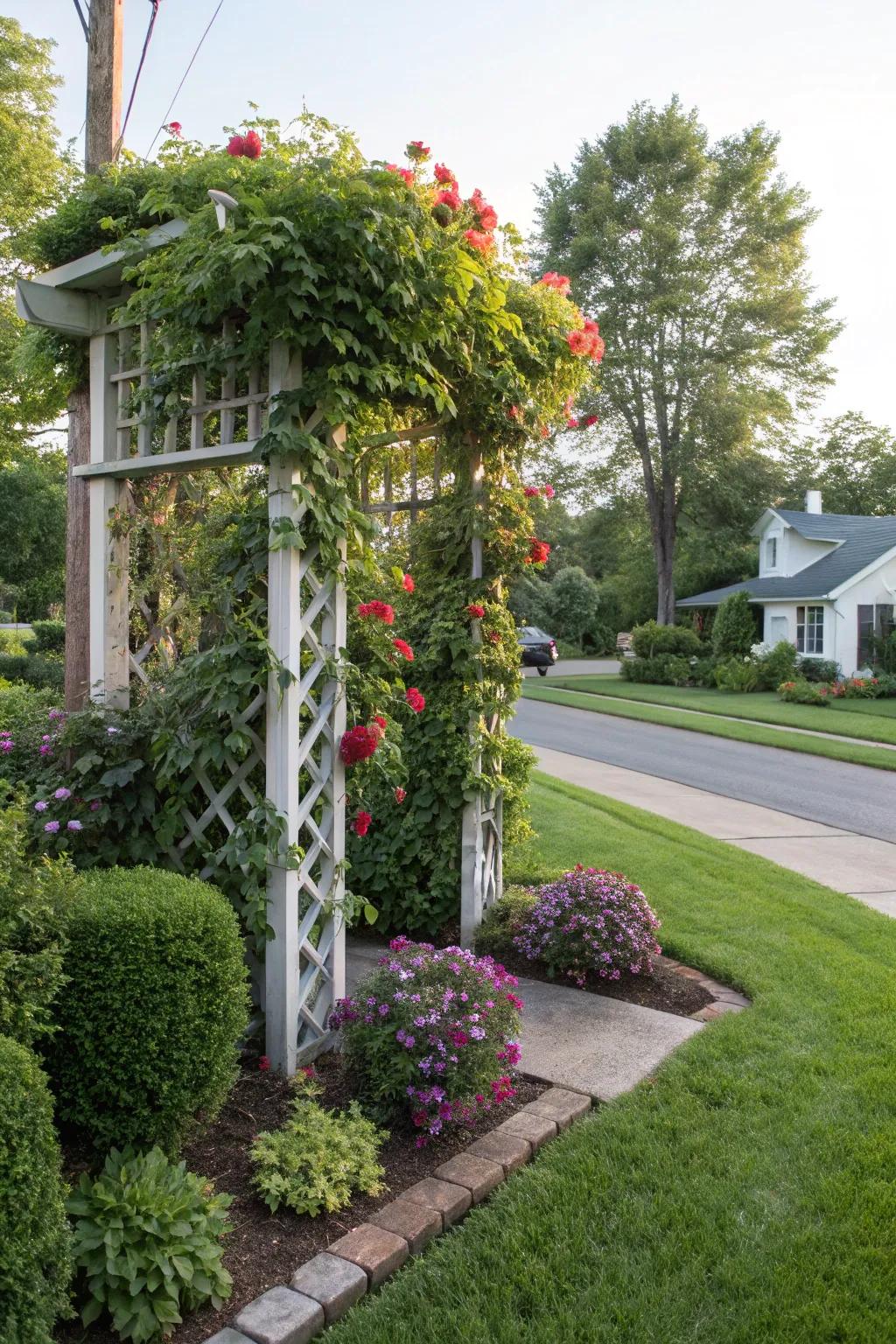A garden climbing support with lush climbers adding height to a corner lot.