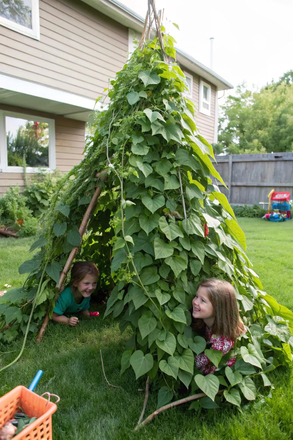 Bean teepees offer a living, changing hideaway.