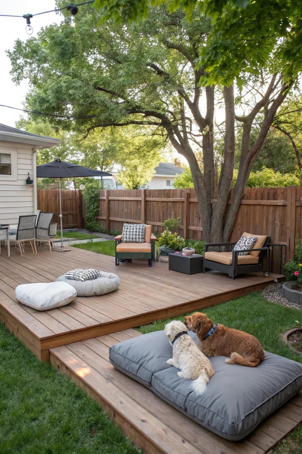 Enjoy time with your dog in a shared space.