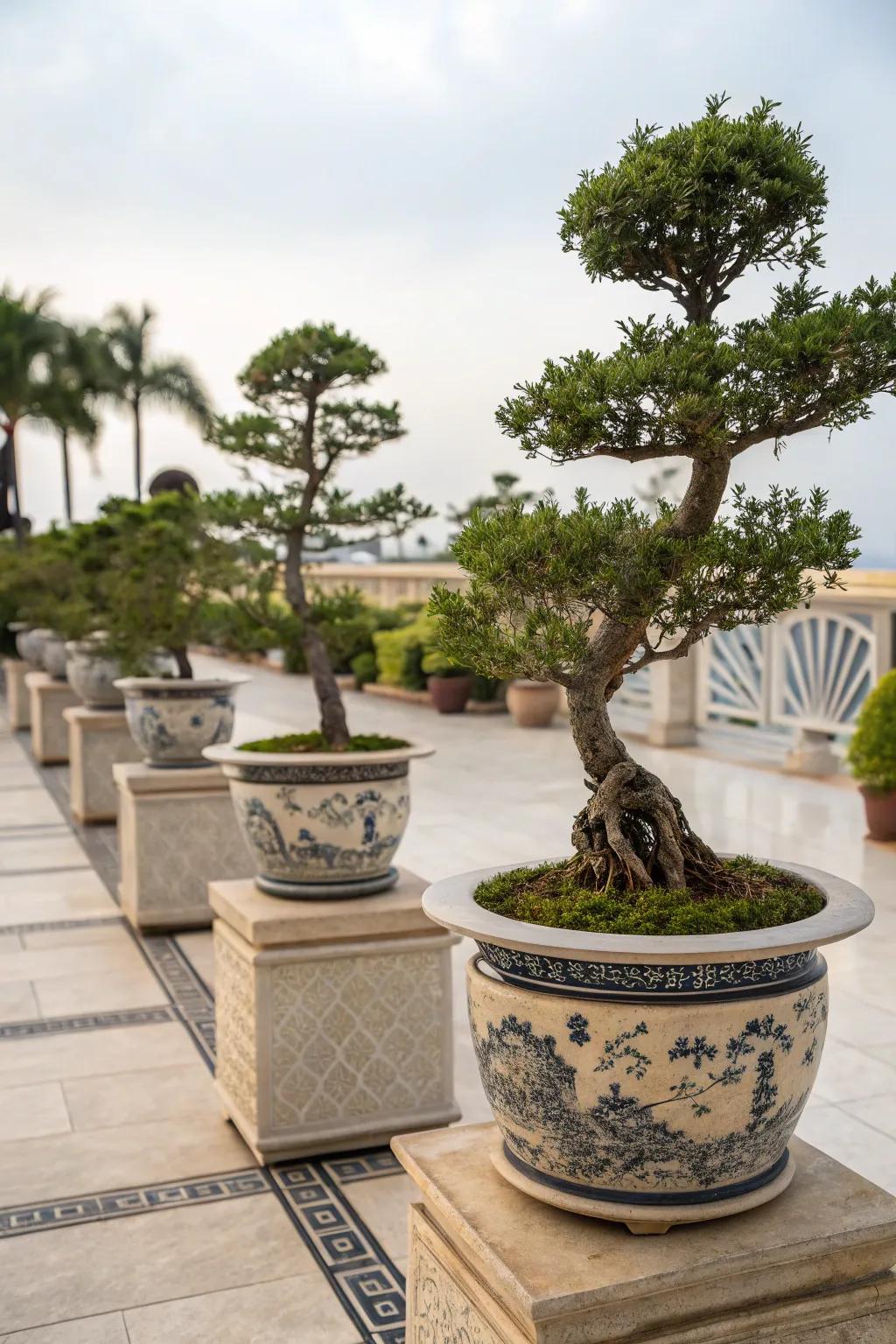 Transform your patio into an artistic display with miniature trees.