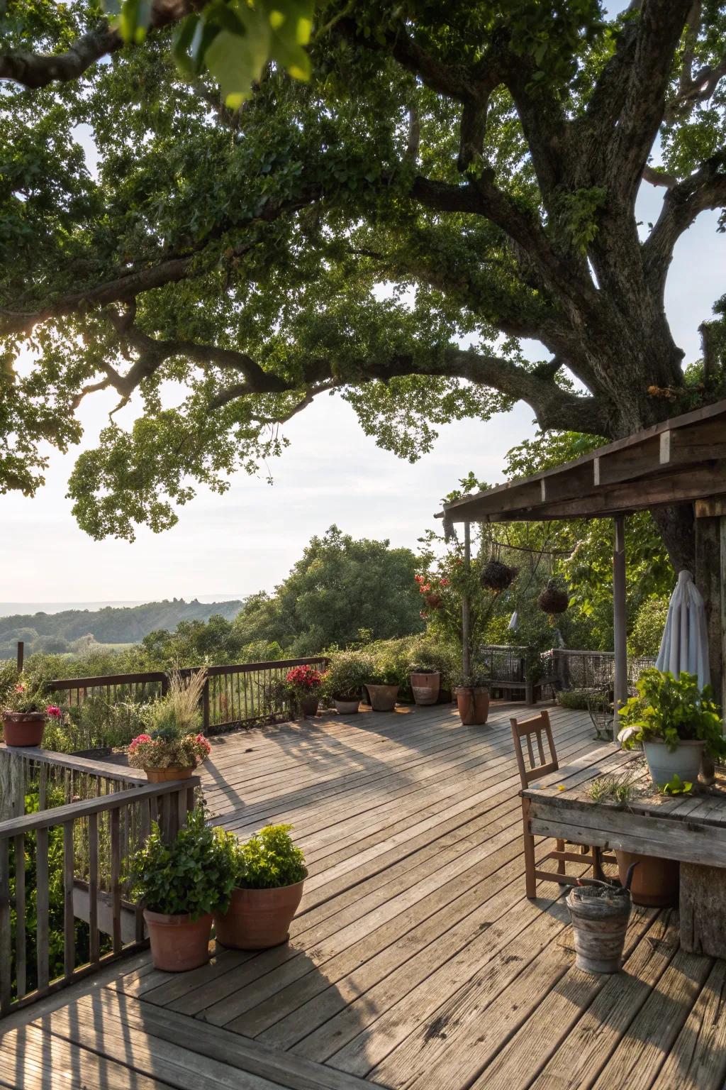 A tree top gives shade and a natural backdrop to this deck.