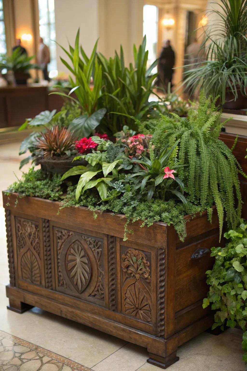 A storage trunk becomes a lush plant holder, bringing nature indoors.