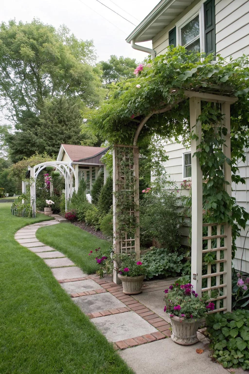 Separate climbing frames provide adaptable and green privacy solutions.