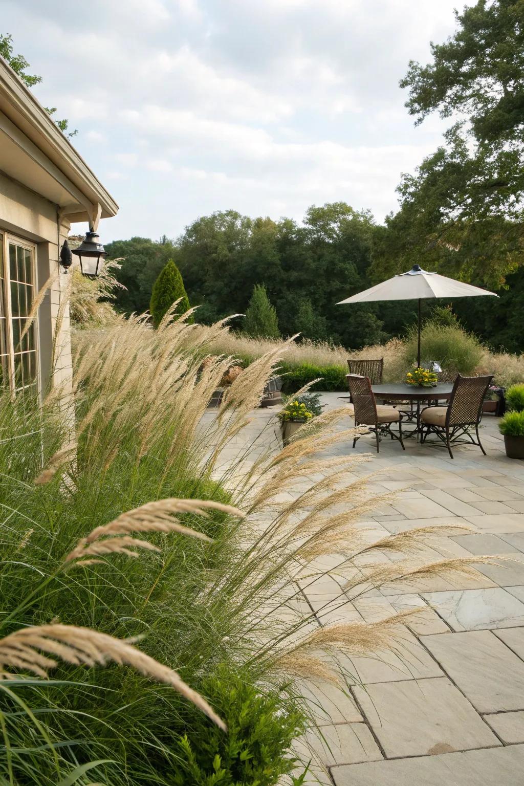 Add movement and texture with ornamental fescue.