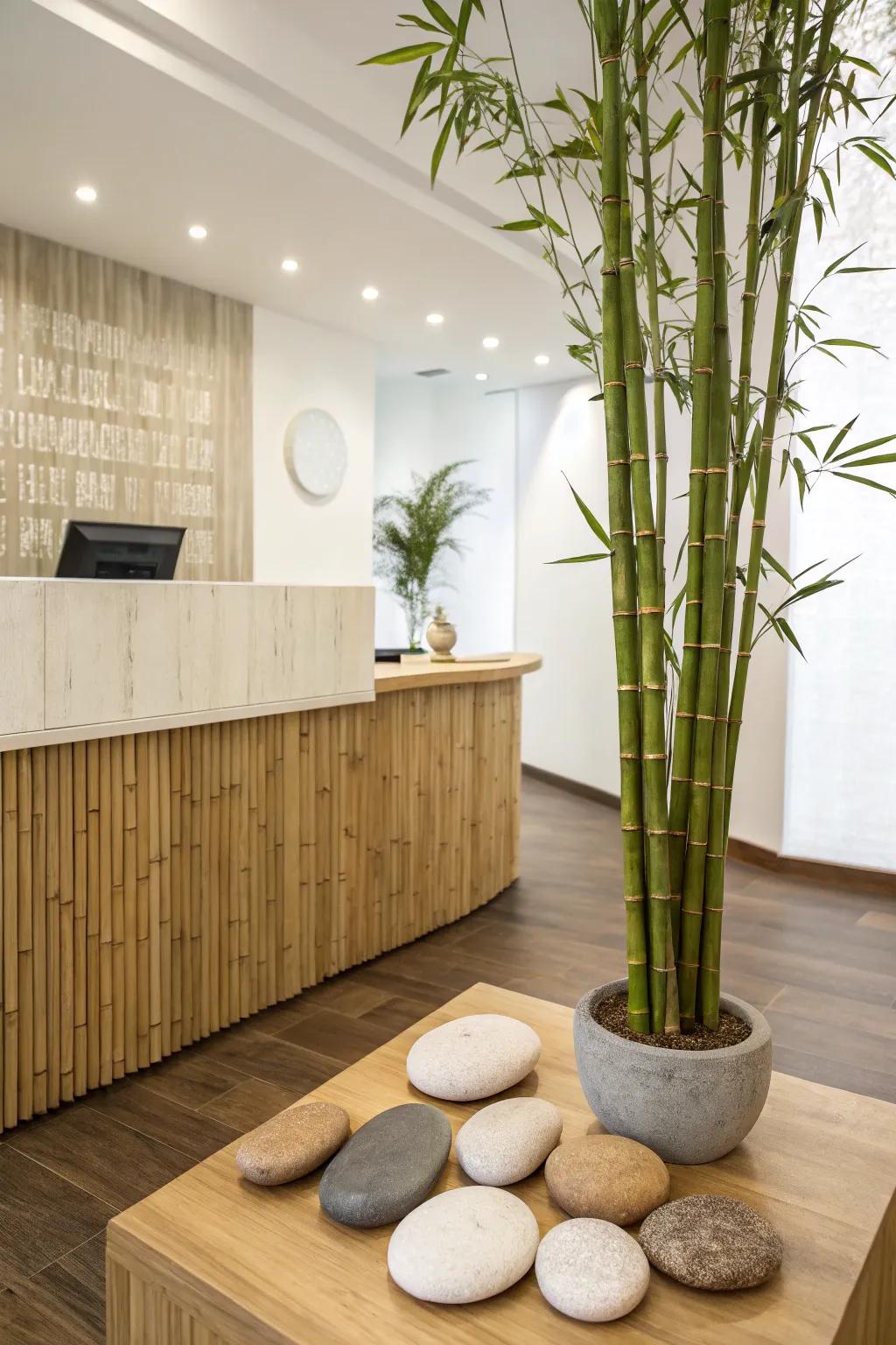 A peaceful, Zen-inspired reception area.