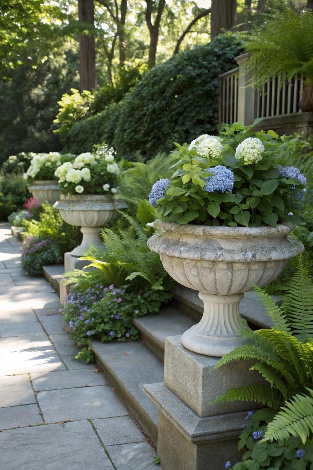 A shaded garden featuring refined stone vessels showcasing hydrangeas and ferns.