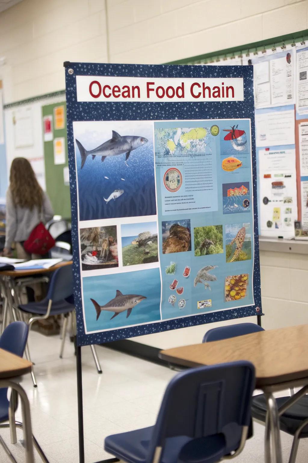 Understand the crucial role sharks play in marine ecosystems.