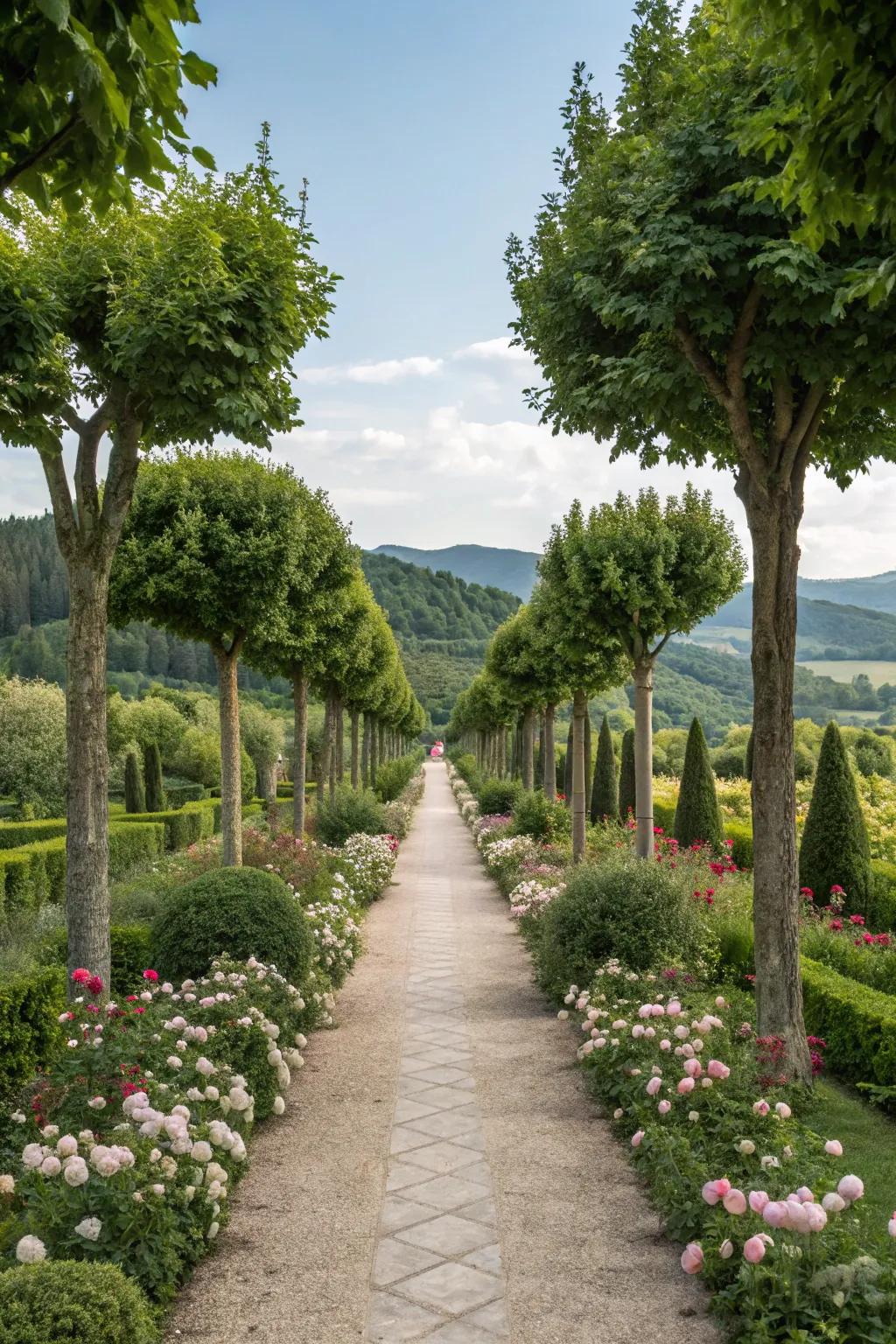 A garden path that celebrates organic balance for harmonious design.