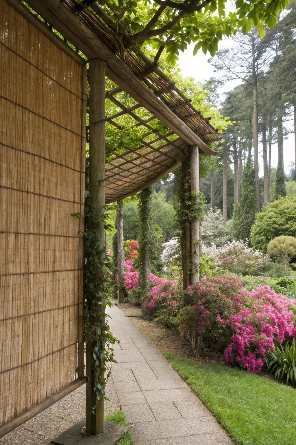 Cane screens provide a natural and sustainable privacy option.