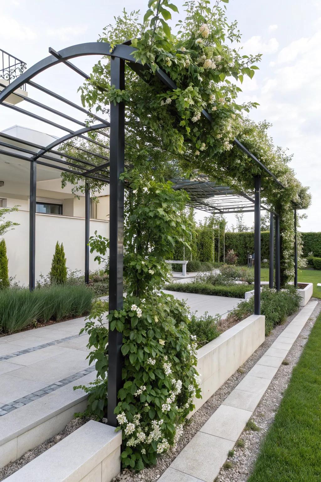 A modern metal arbor showcasing cascading jasmine blossoms.