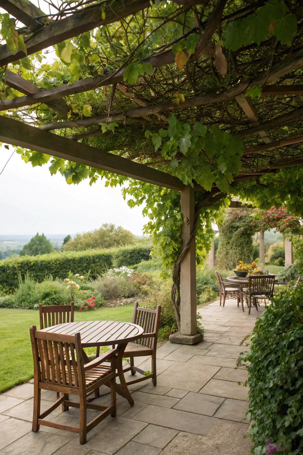 Introduce nature to your patio via a pergola and climbing vines.