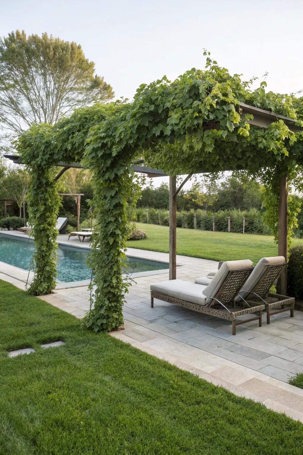 Design a calming retreat with a stem-covered pergola.