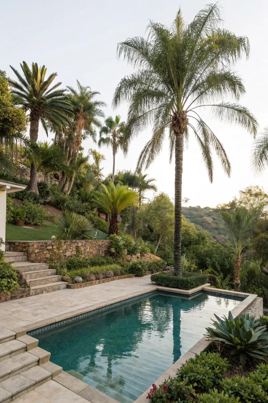 Layered landscaping with palms creates a lush, tropical forest feel.