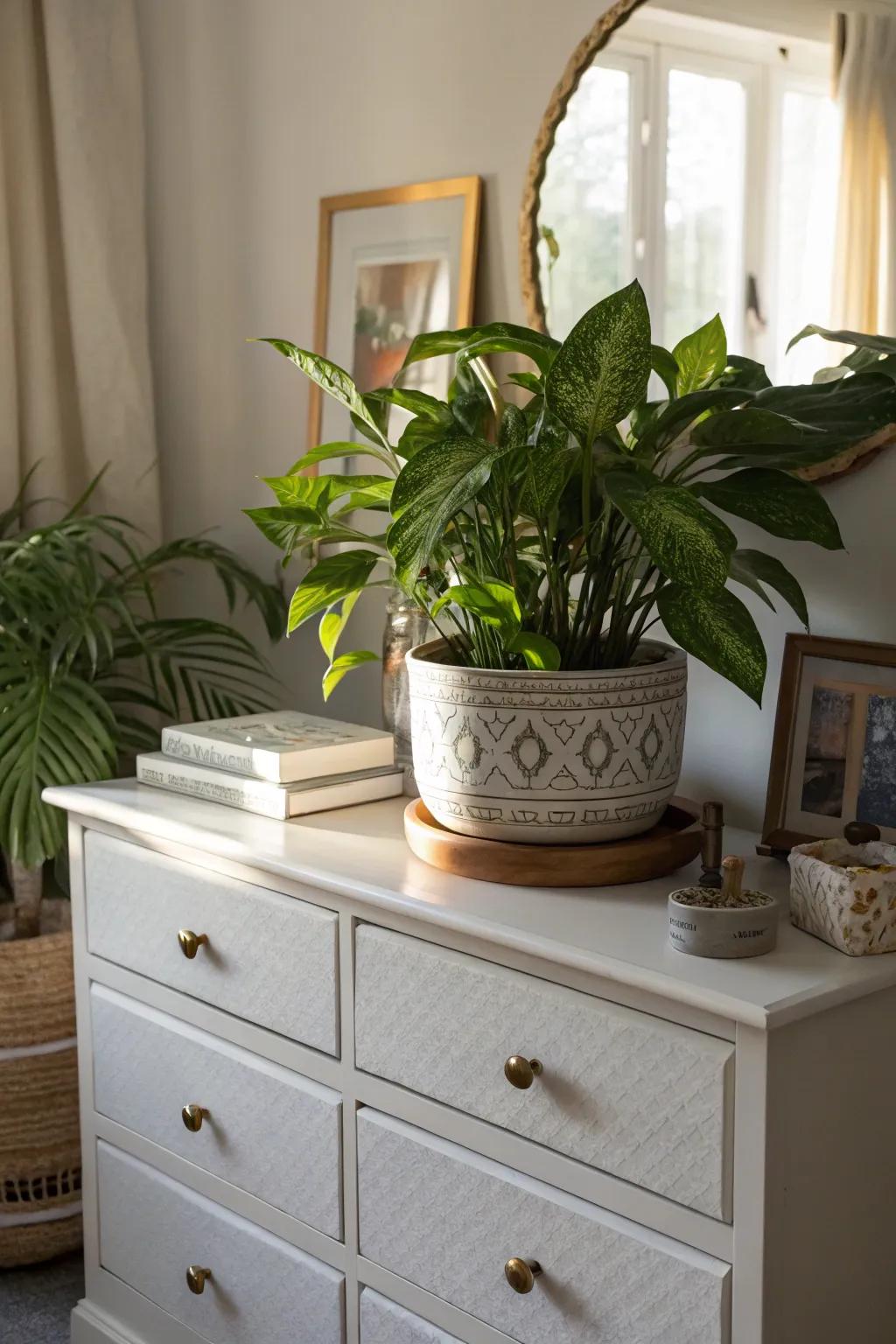 Greenery injects vibrancy and a fresh feel into any setting.