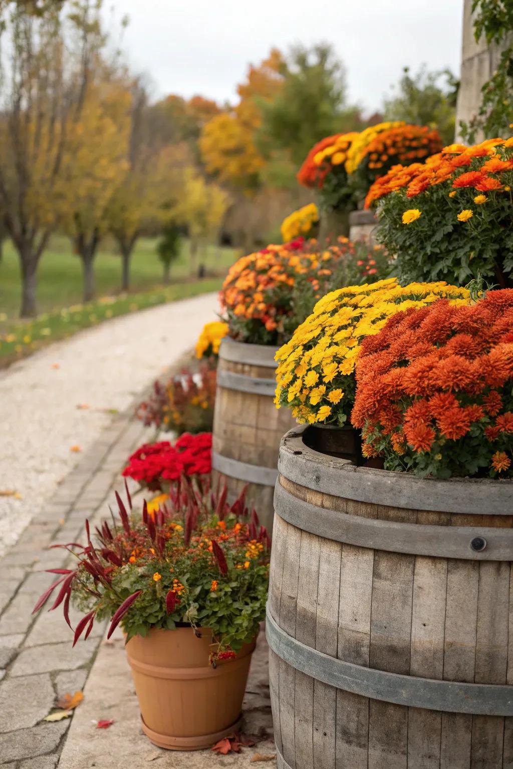 Infuse rustic allure using timber containers as planters.