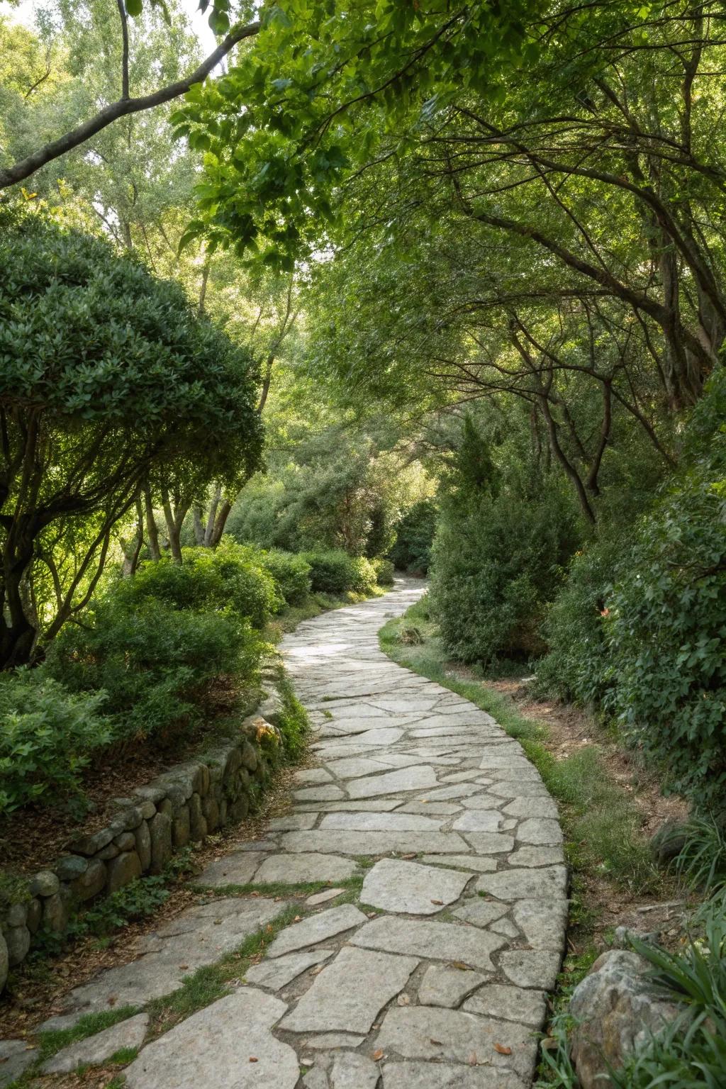 A winding stone path creating a sense of mystery and adventure.
