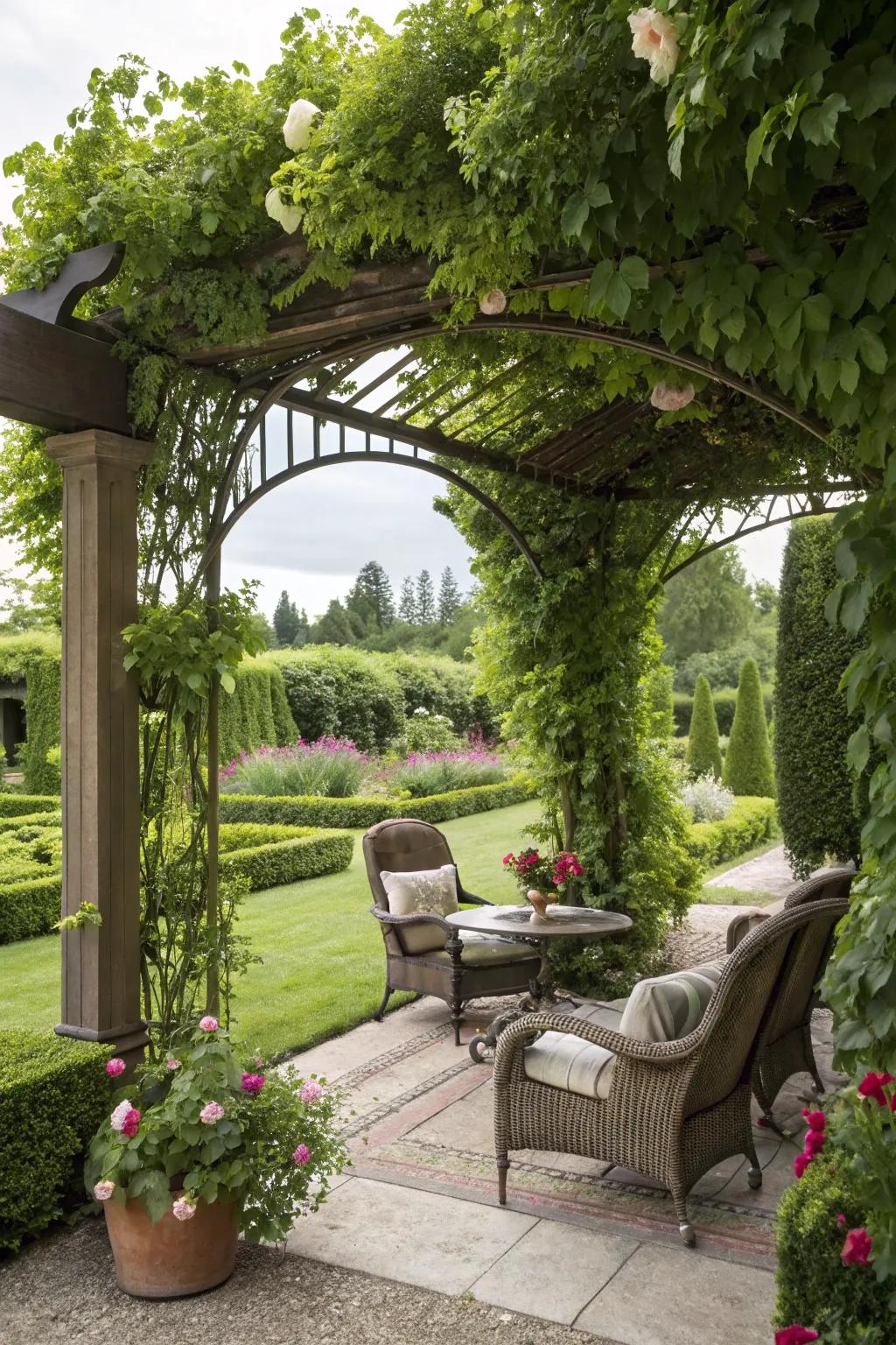 An ideal spot to unwind beneath a trellis adorned with lush foliage.