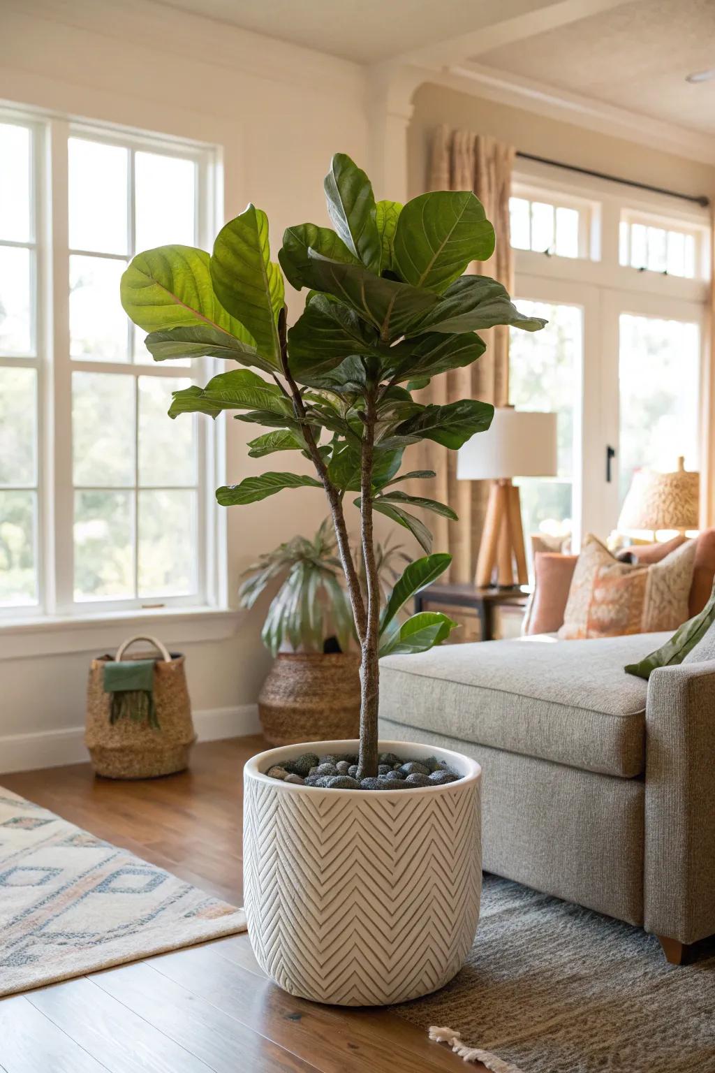 Welcome the natural world inside with a statement plant.