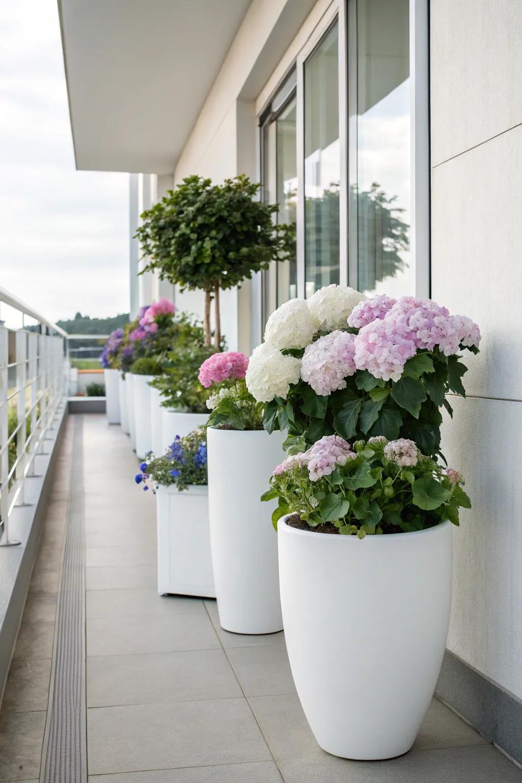 Elegant white containers displaying hydrangeas on a minimalist balcony.