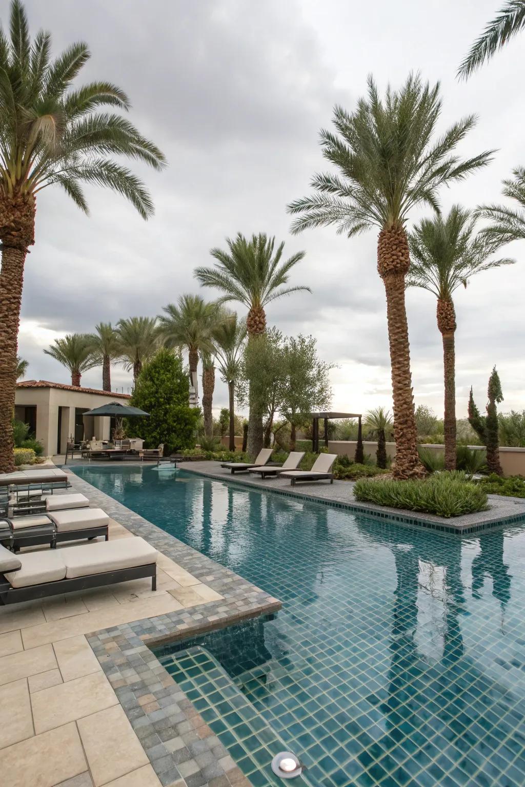 Lavish pool setup in a Las Vegas backyard, complete with sleek loungers.