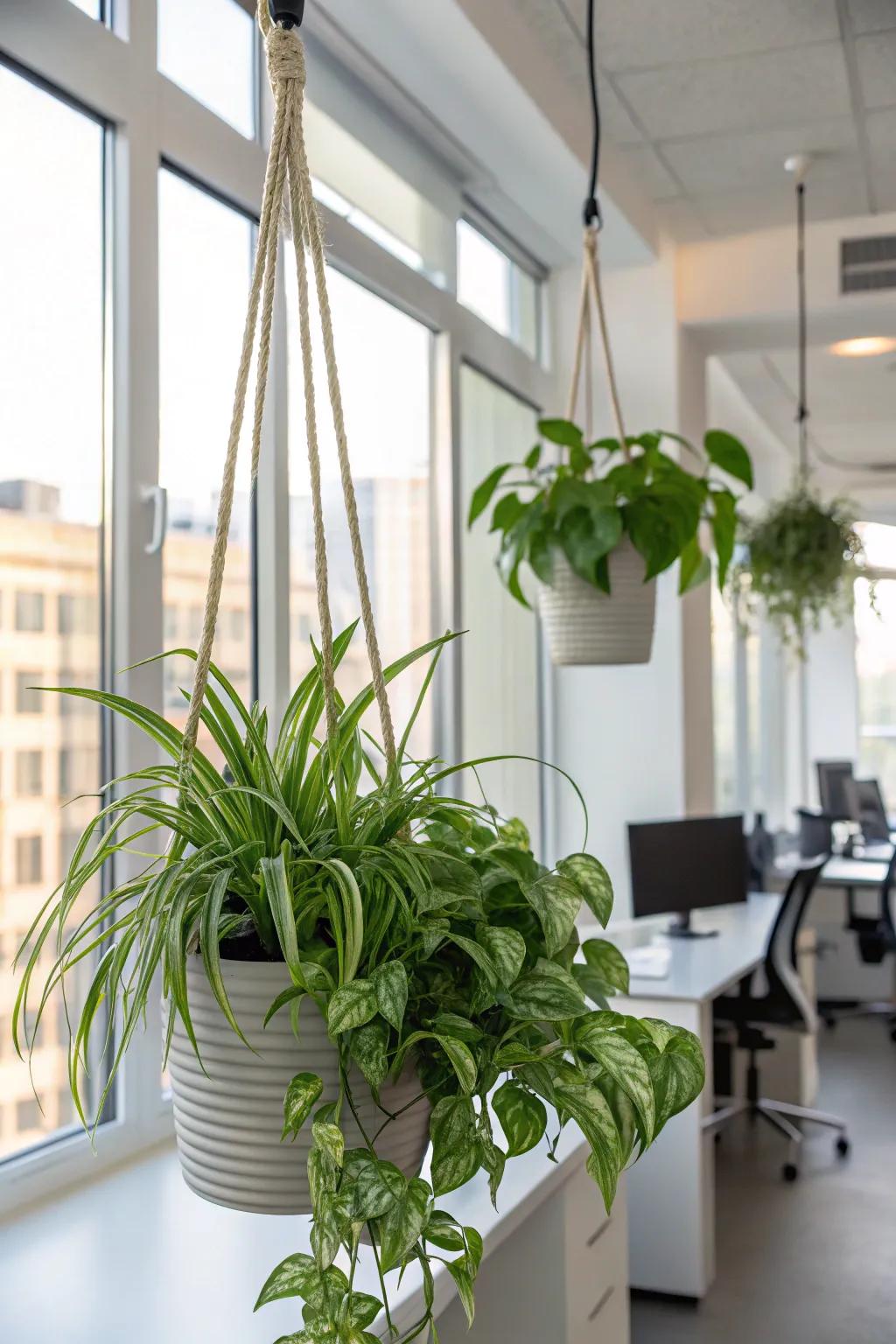 With chic hanging planters, make the most of your vertical space.