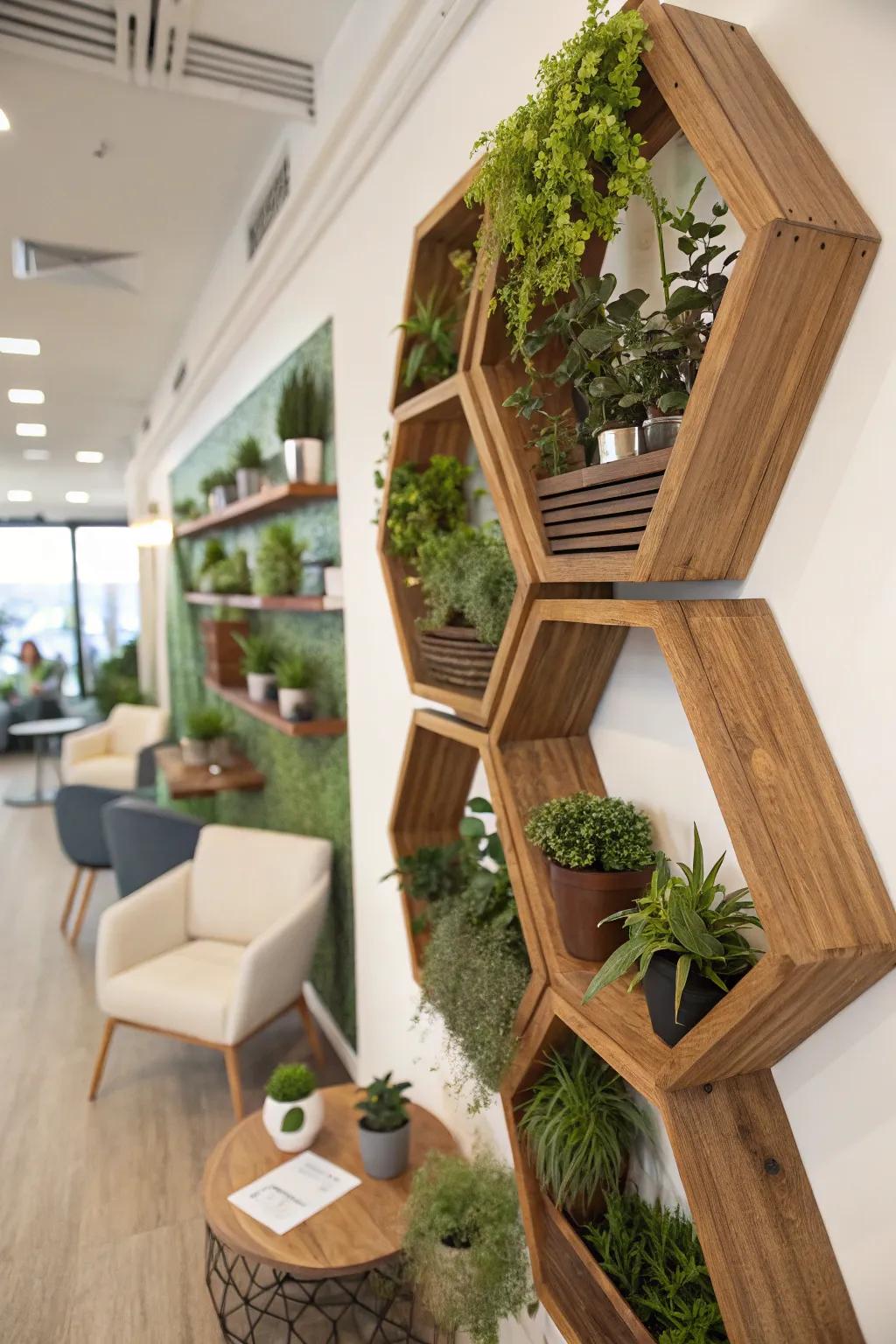 Sophisticated geometric shelves creating a fashionable display for plants.