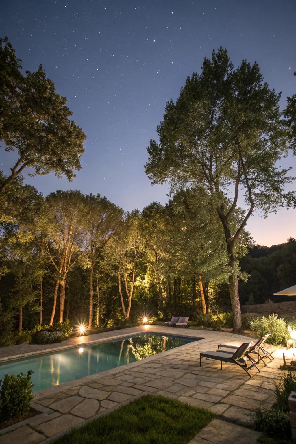 Design a serene ambiance by uplighting the surrounding trees.