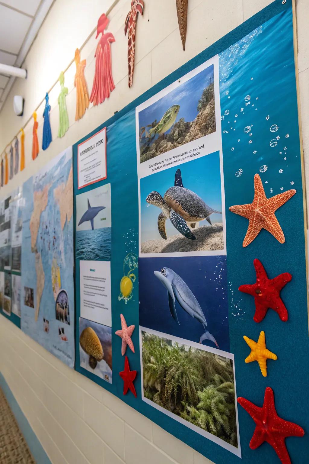 Showcase marine life prominently in this appealing display.