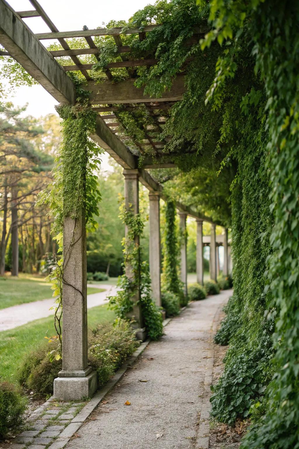 A pergola enhanced by a living wall introduces a revitalizing natural aspect to limited patio spaces.