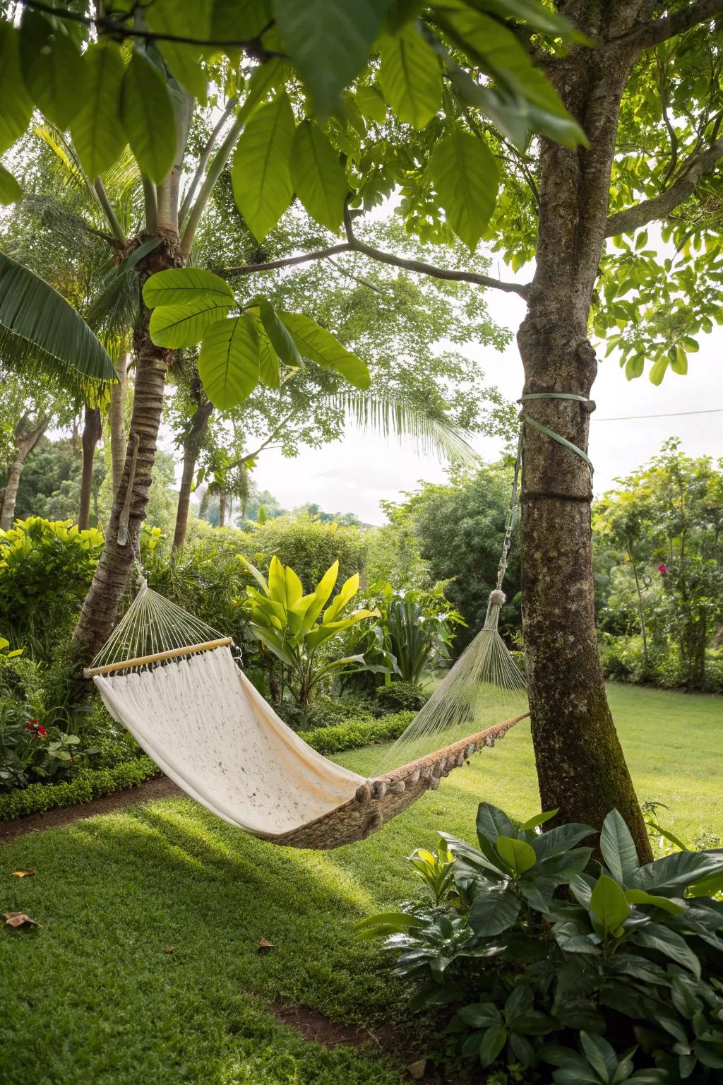 A peaceful hammock haven for relaxation and daydreaming.
