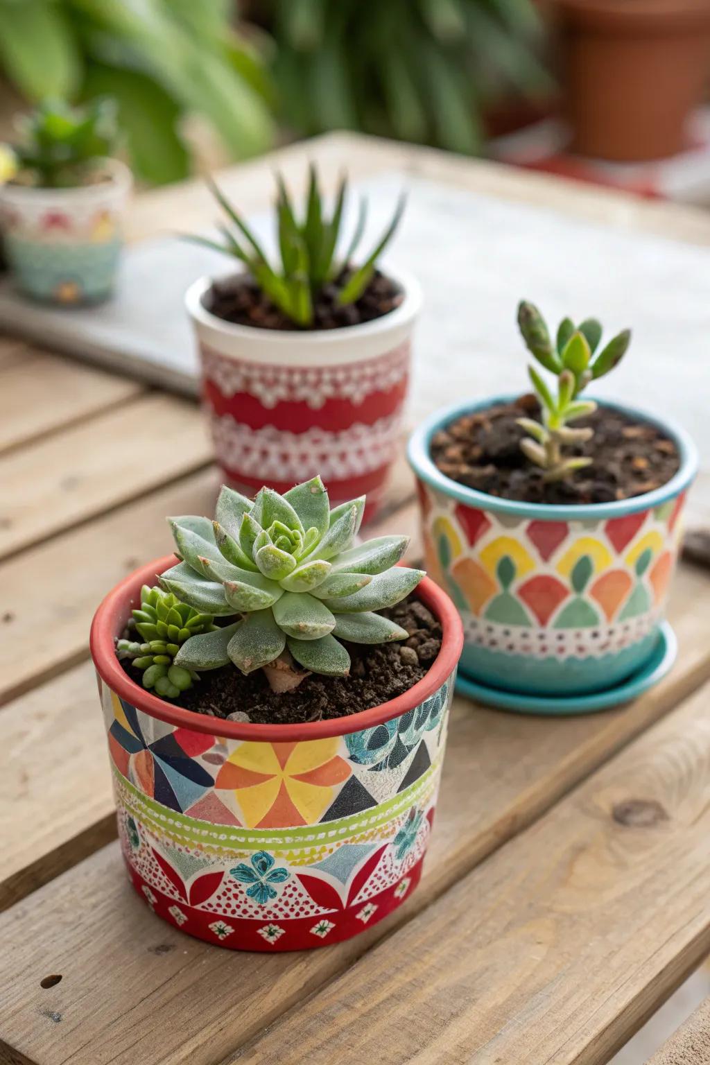 Succulent plants are adorable, easy-care gifts that guests will love.