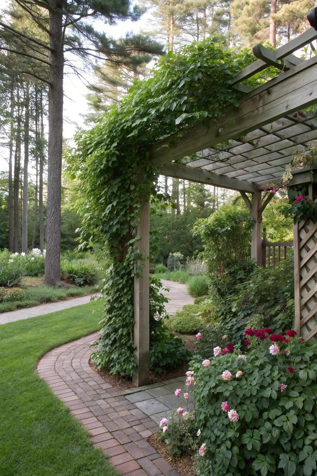 A garden structure with climbing plants creates a shaded, secluded retreat.