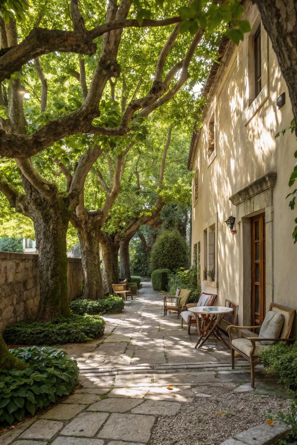 Mature trees create a naturally shaded and welcoming courtyard area.