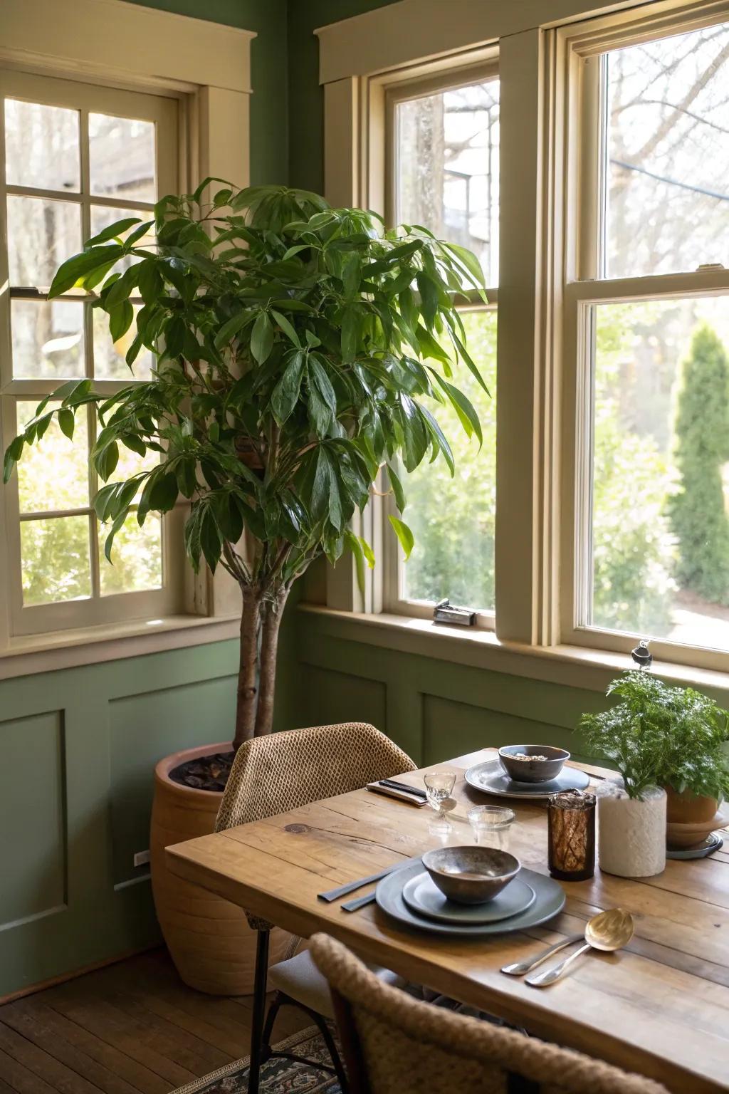 An eye-catching plant introduces a natural element to dining room corners.