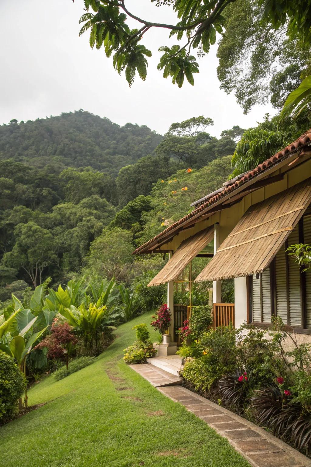 Bamboo window blinds introduce a hint of tropical paradise to any home.