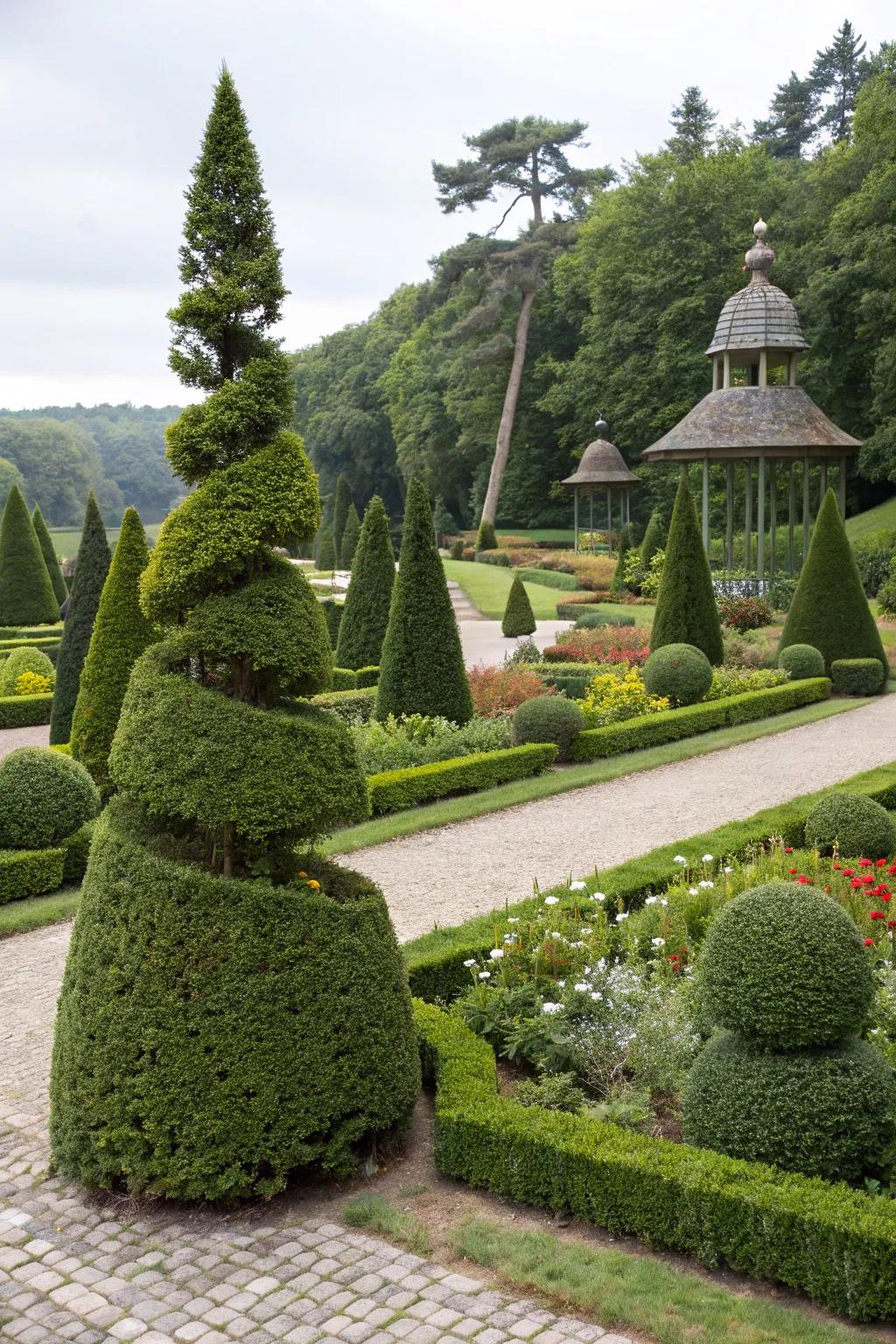 Topiary plants introduce an element of whimsy and artistry to formal gardens.