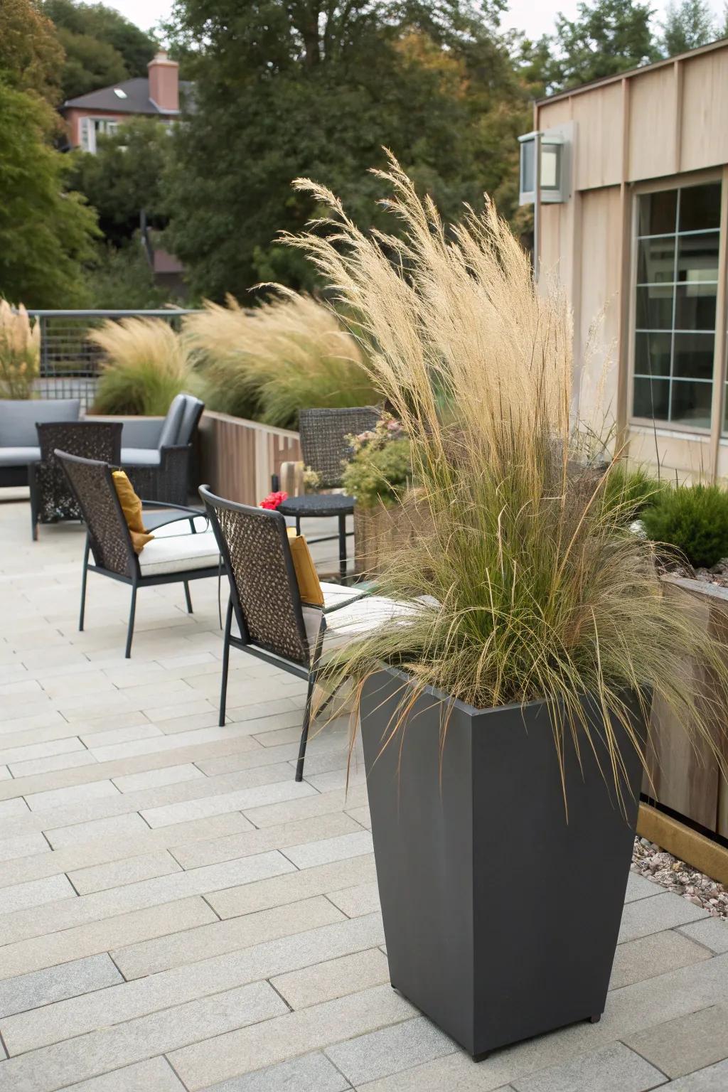 Ornamental grasses in planters bring vertical interest and charm to patios.