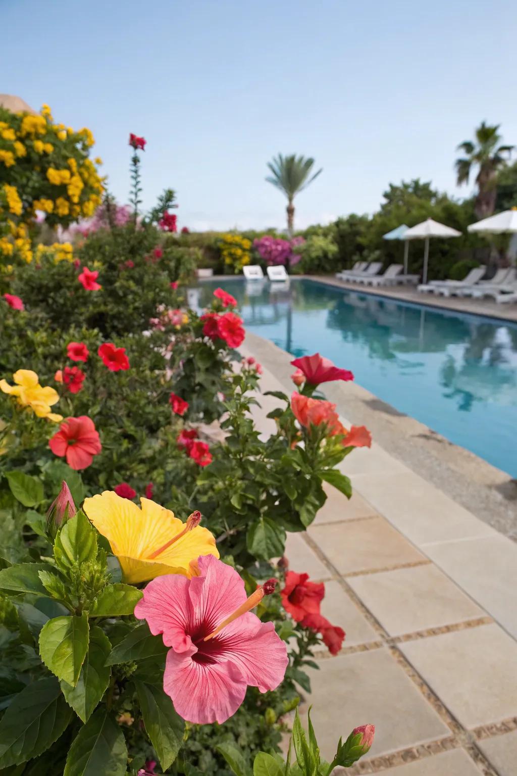 Trumpet blooms bring vibrant color and vitality to your poolside.