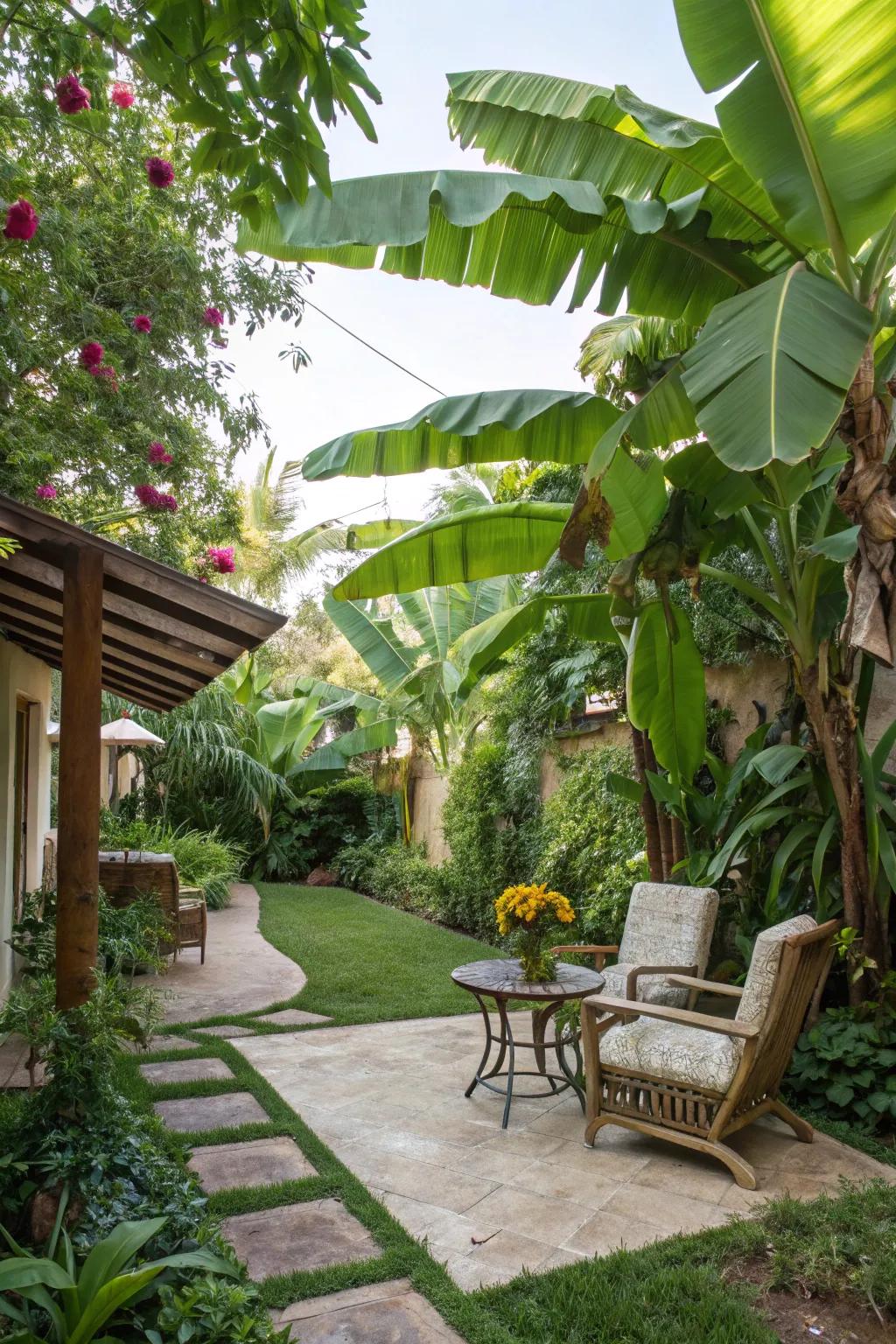 Enhance your patio with the tropical charm of palms.
