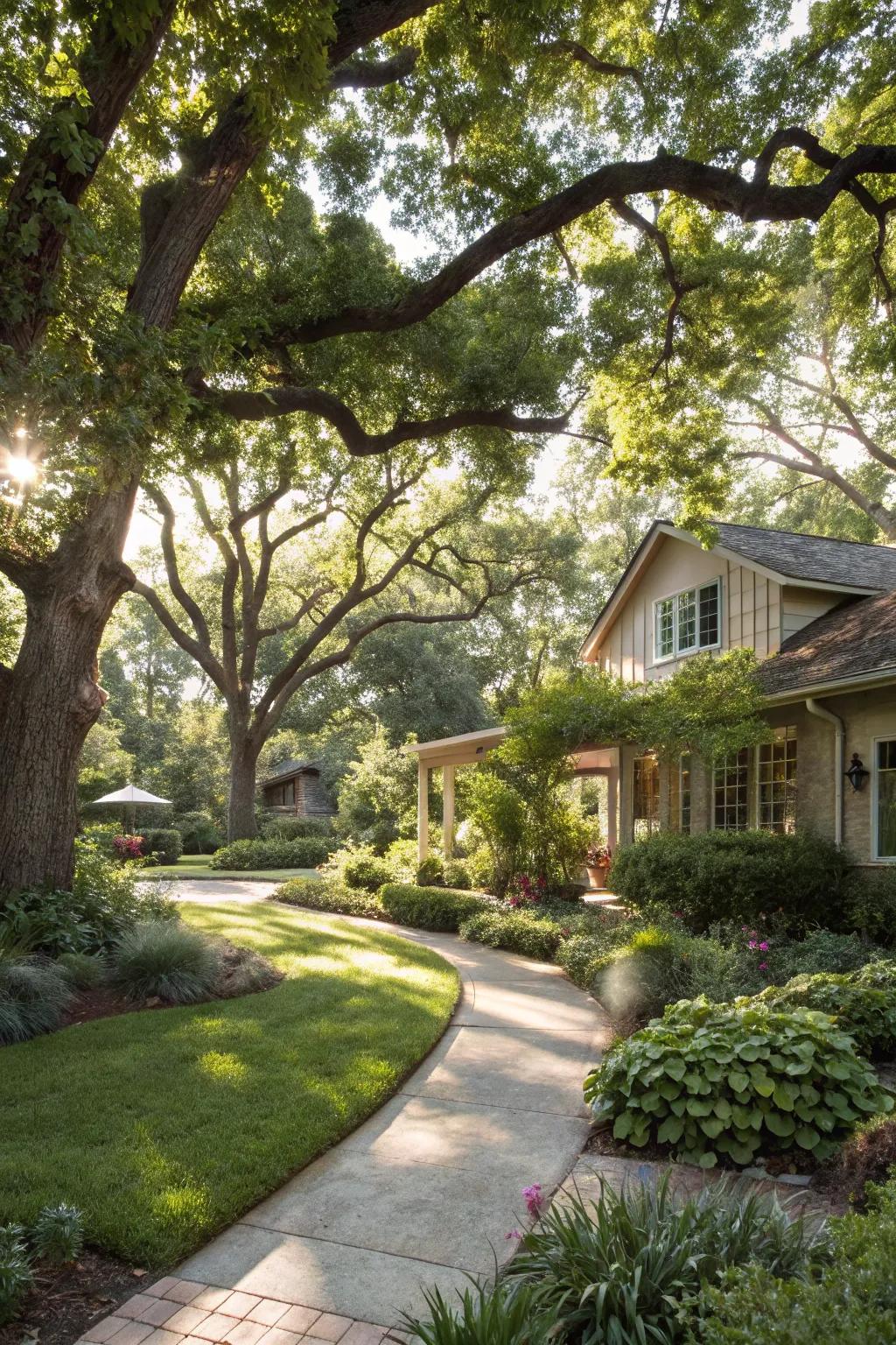 Trees and shrubs add structure and shade to your garden.