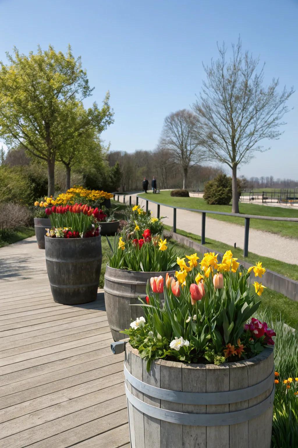 Seasonal flowers bringing freshness to gardens in planters.
