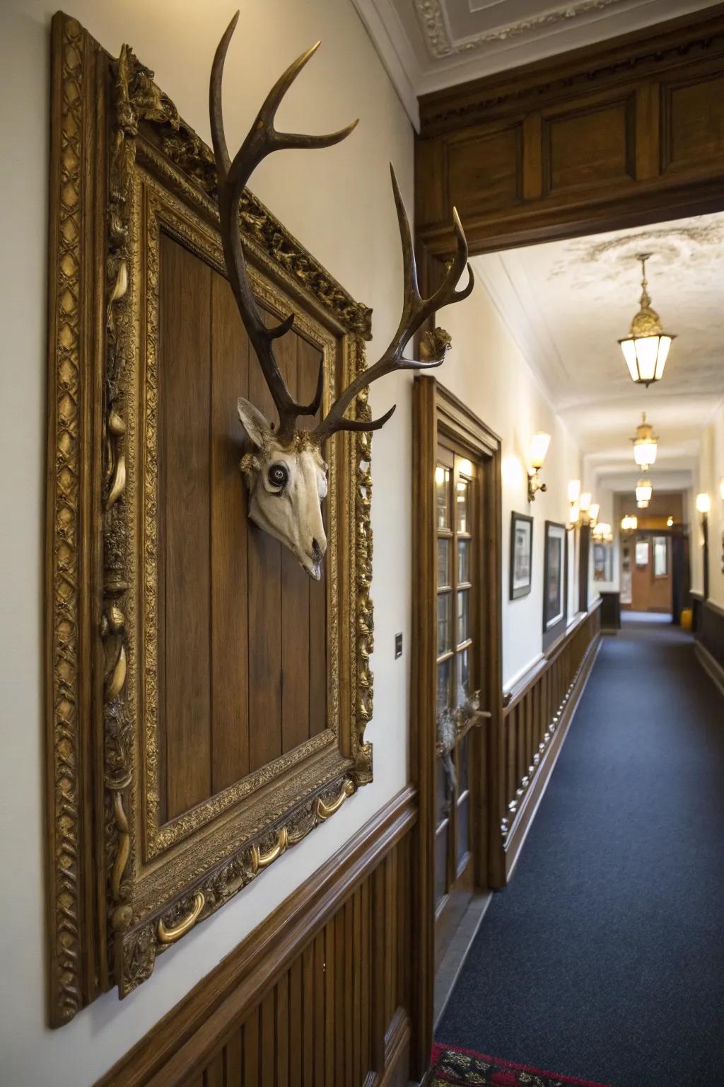 A vintage casing introduces classic elegance to a deer skull display.