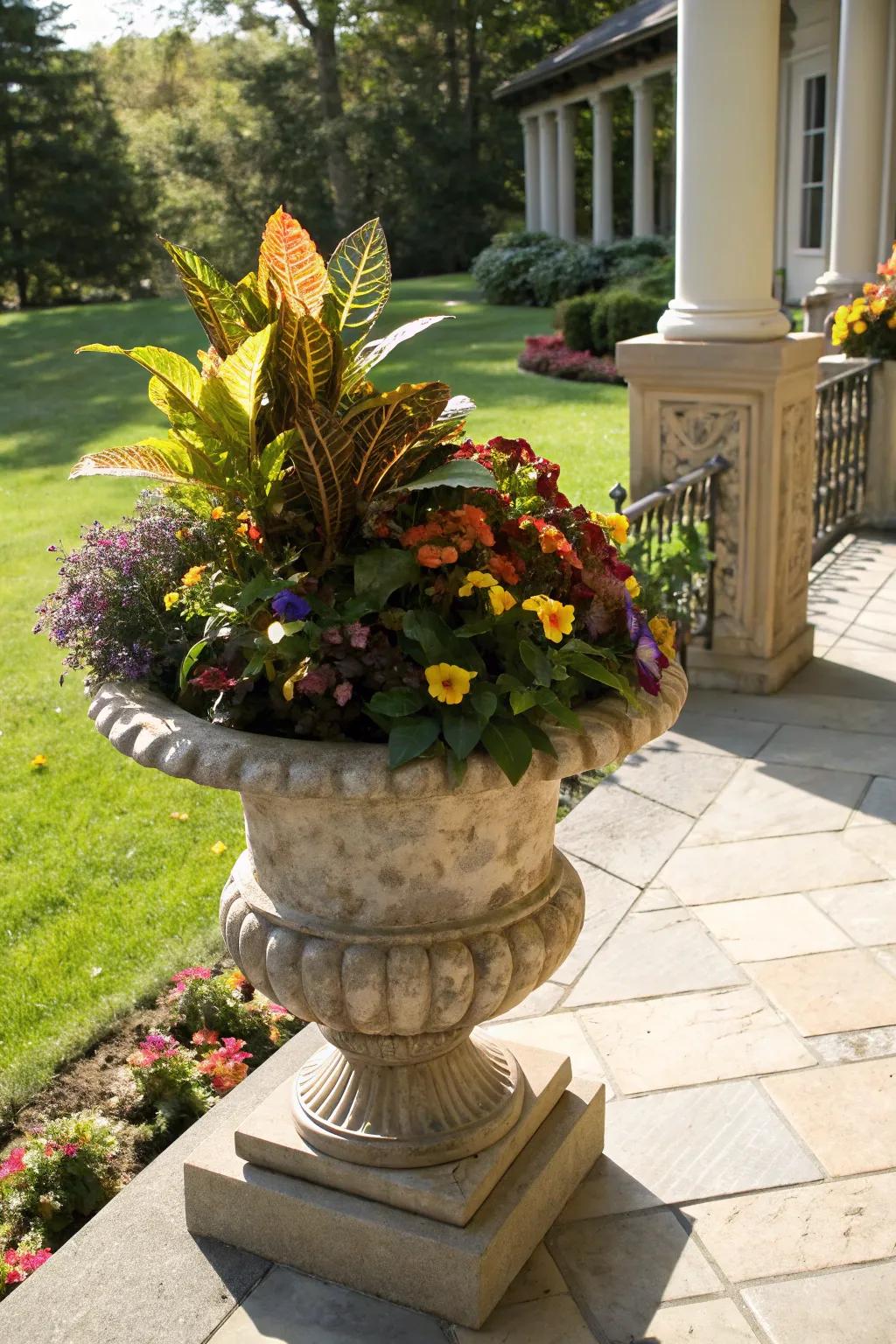 Bold colors using Tropical Plant and petunias in a seasonal container.
