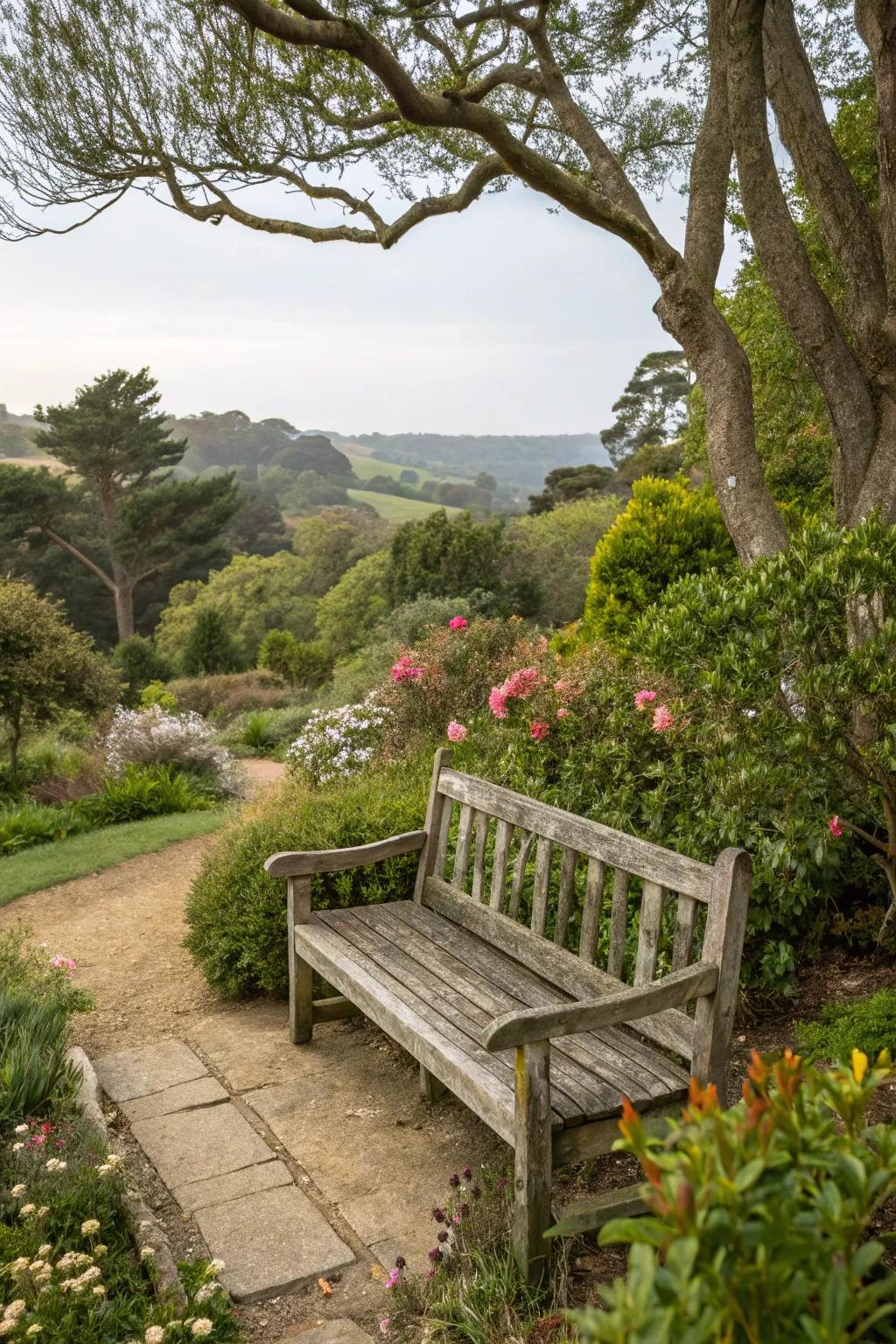 A rustic bench offering a peaceful space to enjoy nature.