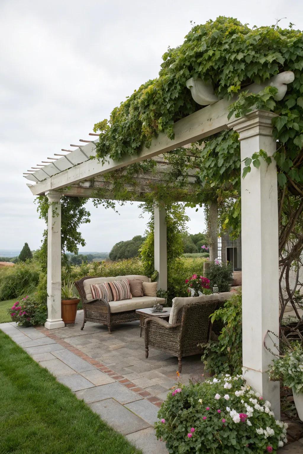 Make an arbor getaway with climbing greenery and welcoming seating.