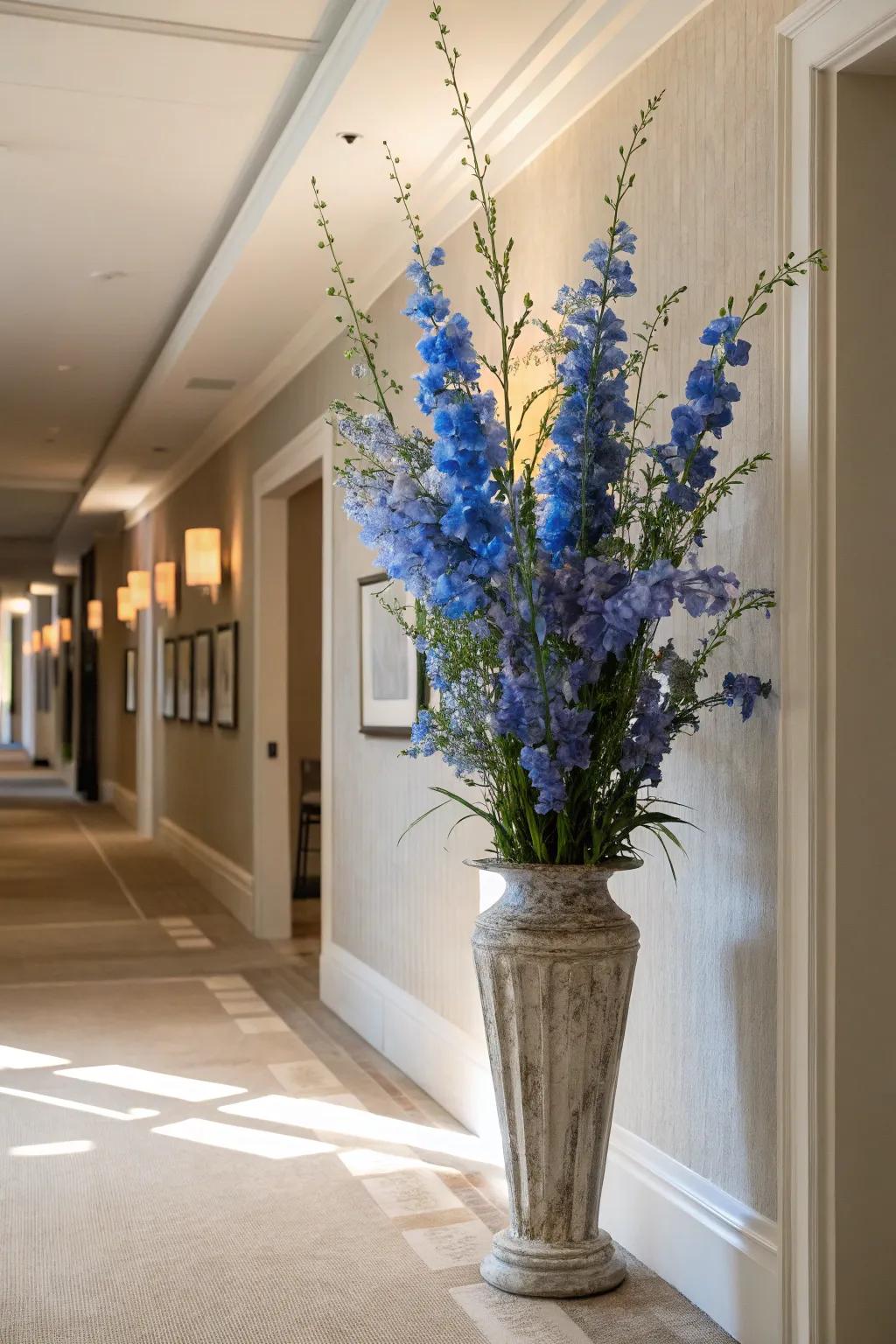 Ascending stems of delphiniums introducing sophistication to a corridor.