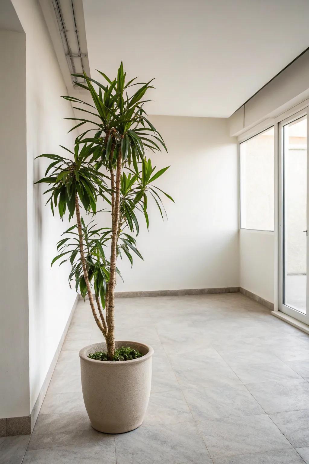 A hint of greenery adds vitality to minimalist design.