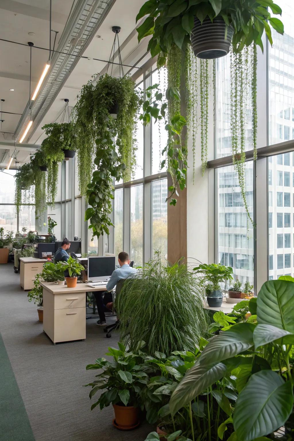 An office decorated with indoor plants and greenery.